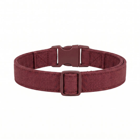 Roxey Medium Canvas Dog Collar Maroon
