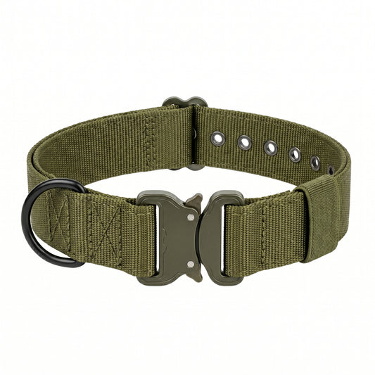 Roxey Medium Nylon Dog Collar Olive