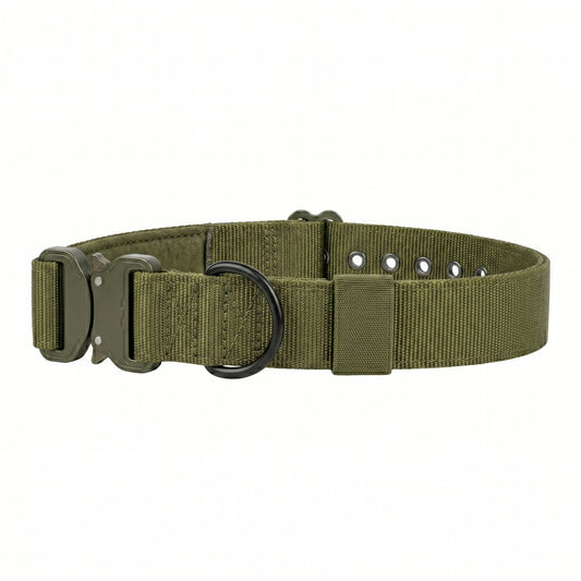 Roxey Medium Nylon Dog Collar Olive