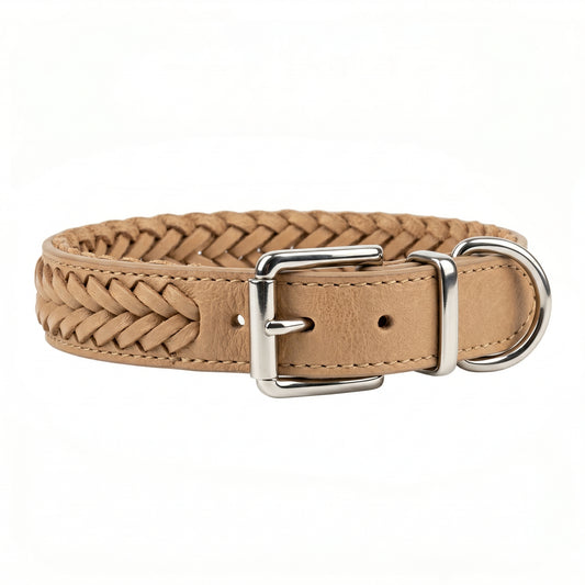 Roxey Medium Leather Dog Collar Beige