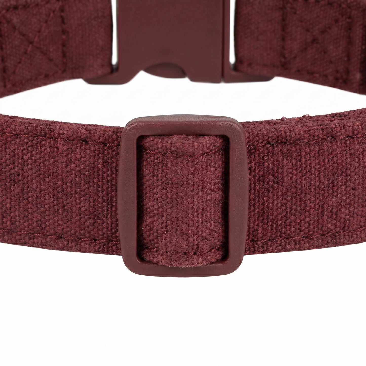 Roxey Medium Canvas Dog Collar Maroon