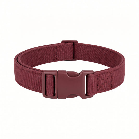 Roxey Medium Canvas Dog Collar Maroon