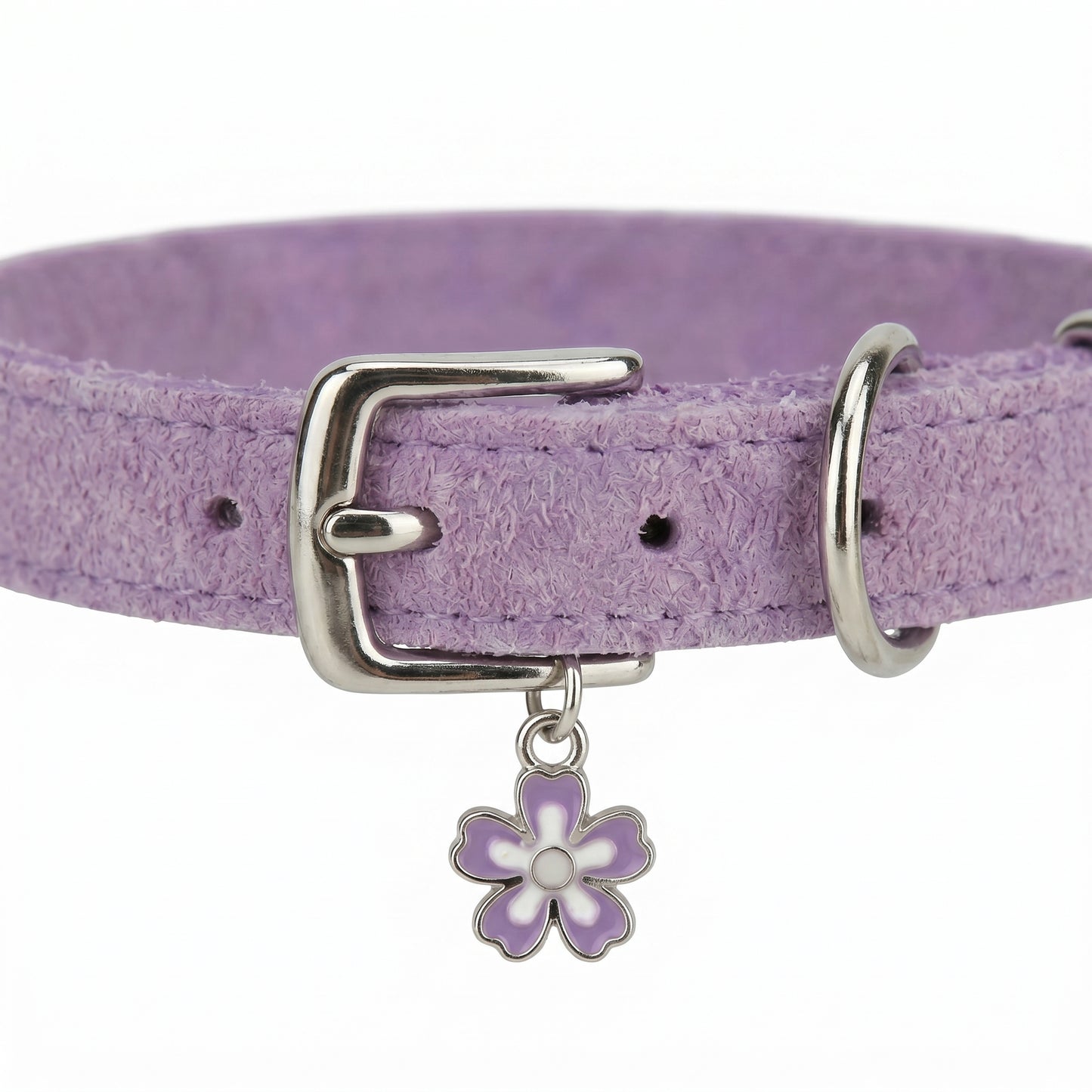 Roxey Medium Nylon Cat Collar Purple