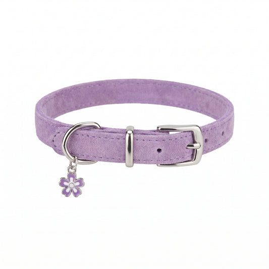Roxey Medium Nylon Cat Collar Purple